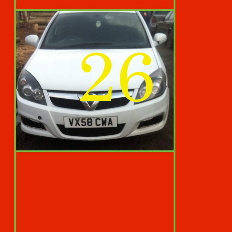 Capitonaj capota motor Opel Vectra C [fa