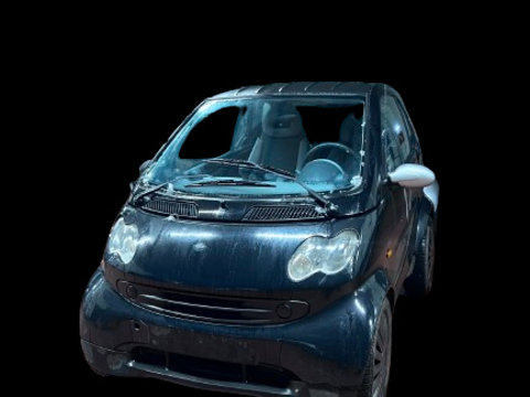 Capitonaj haion Smart Fortwo [facelift] [2000 - 2007] Hatchback 3-usi 0.6 AMT (45 hp) W450 0.6 benzina 450