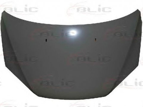 Capota FORD FOCUS II Cabriolet BLIC 6803002533280P PieseDeTop