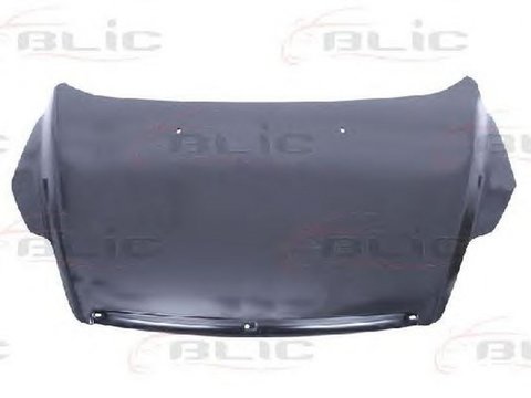 Capota FORD FOCUS II DA BLIC 6803002533281Q