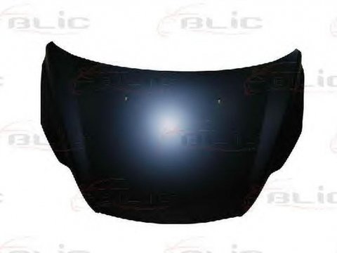 Capota FORD FOCUS II limuzina DA BLIC 6803002533281P