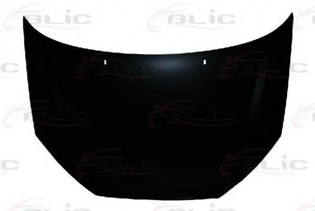 Capota FORD FOCUS limuzina DFW BLIC 6803002532280Q