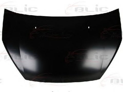 Capota FORD S-MAX WA6 BLIC 6803002583280P