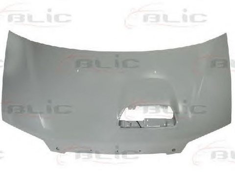 Capota HYUNDAI H-1 caroserie BLIC 6803003191281P