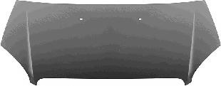 Capota motor FIAT DOBLO (119), FIAT DOBLO Cargo (2