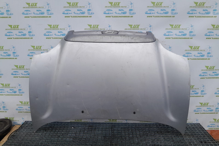 Capota motor Hyundai Santa Fe SM [2000 - 2004]
