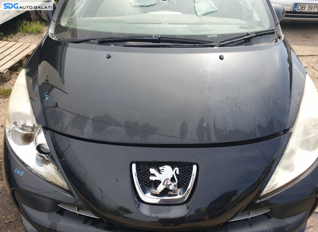 Capota Motor Peugeot 207 2006 - 2014 Culoare EXLB [L0197]