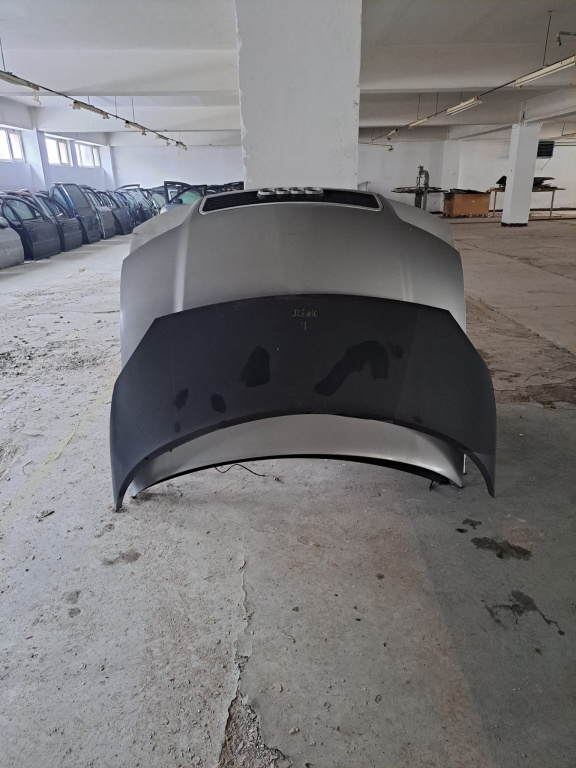 Capota , Renault Scenic 2