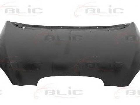 Capota SEAT TOLEDO III 5P2 BLIC 6803006612280Q