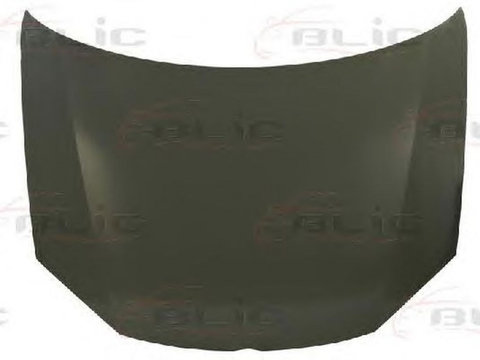 Capota VW GOLF V 1K1 BLIC 6803009524280P PieseDeTop