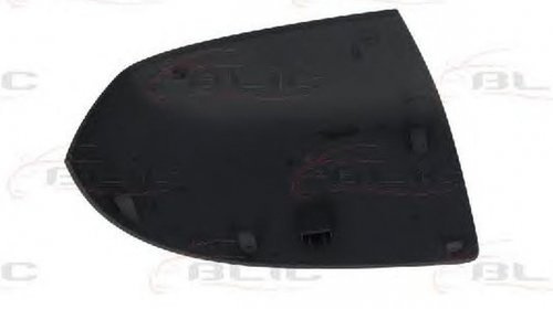 Carcasa oglinda FORD MONDEO III B5Y BLIC 610301132