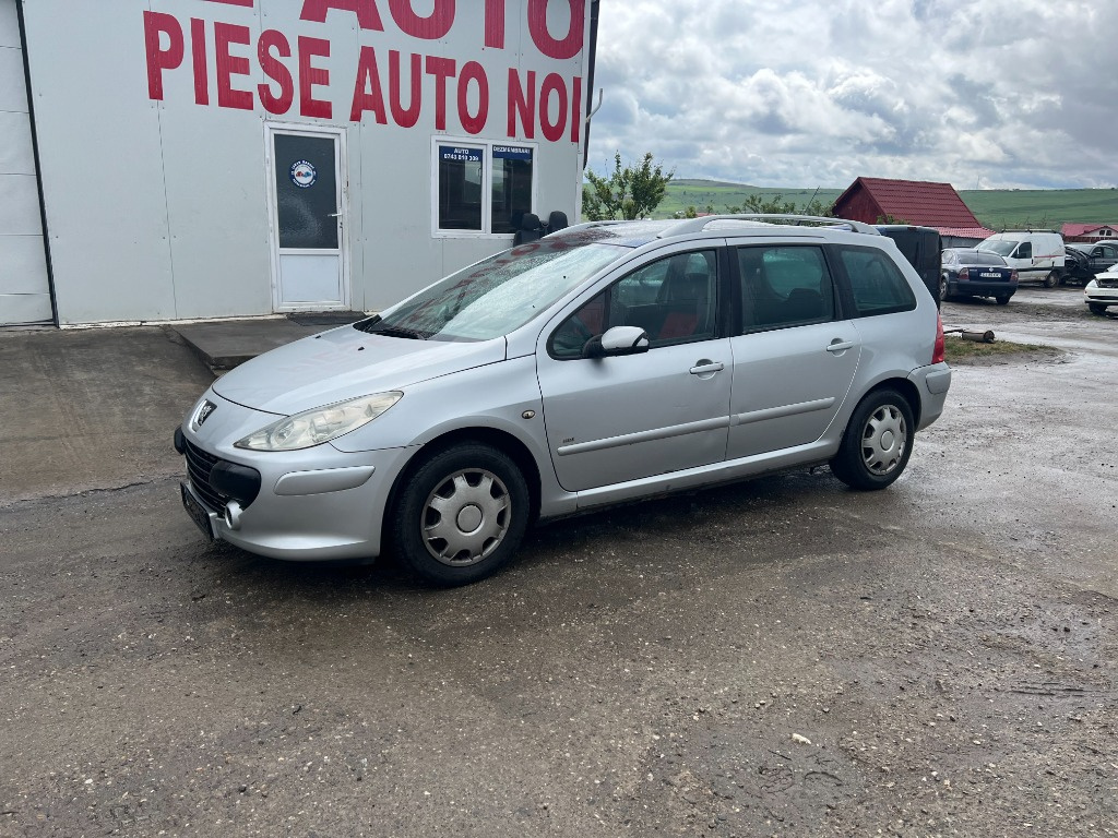 Carenaj aparatori noroi fata Peugeot 307