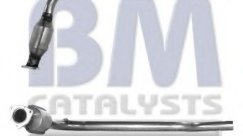 Catalizator BM80025H BM CATALYSTS pentru
