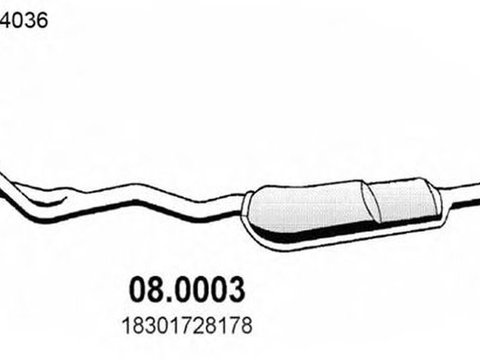 Catalizator BMW 3 Cabriolet E36 ASSO 080003