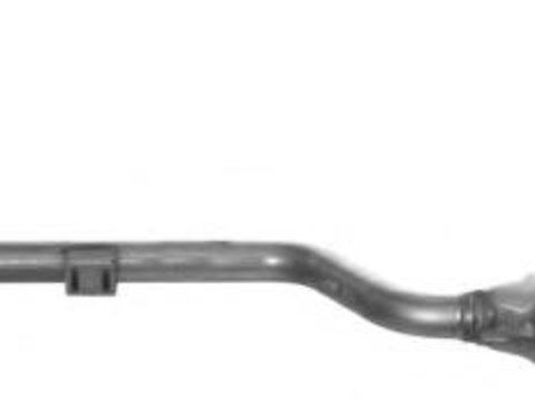 Catalizator MERCEDES-BENZ SLK (R170) - IMASAF 48.20.43