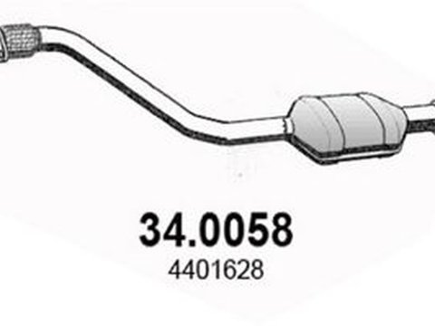 Catalizator NISSAN INTERSTAR caroserie X70 ASSO 340058