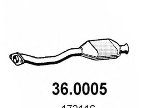 Catalizator PEUGEOT 106 I 1A 1C ASSO 360005