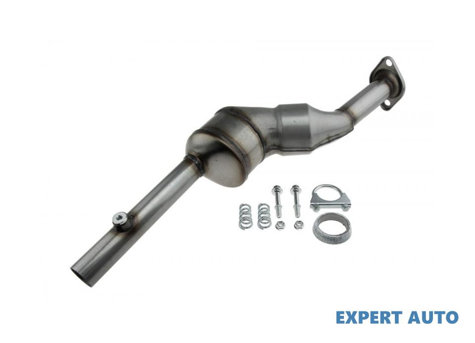 Catalizator Renault Kangoo / Grand Kangoo (2008->)[KW0/1_] #1 8200689441