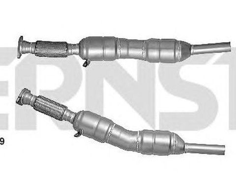 Catalizator RENAULT MEGANE III cupe DZ0 1 ERNST 760119