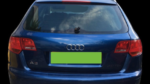 Ceasuri bord Audi A3 8P/8PA [facelift] [