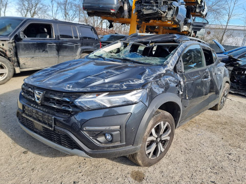 Ceasuri bord Dacia Sandero 2021 stepway 1.0