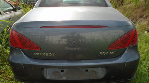 Ceasuri bord Peugeot 307 2004 Berlina 2.