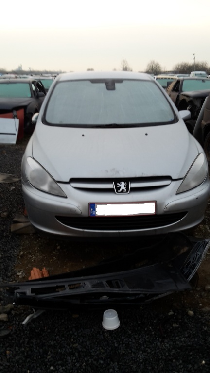 Ceasuri bord Peugeot 307 2004 Hatchback 