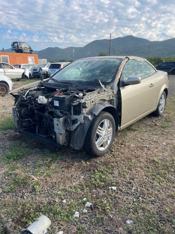 Ceasuri bord Renault Megane 2 2004 Cabri