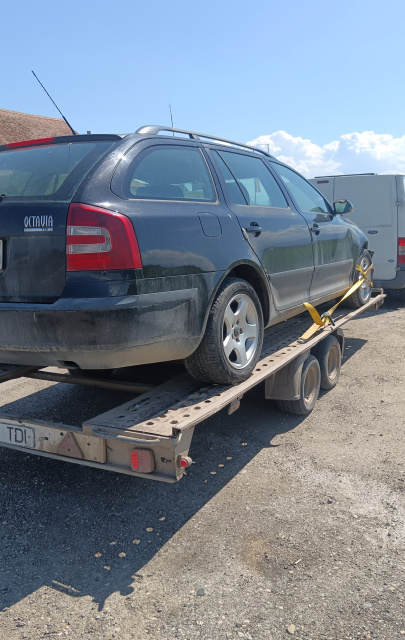 Ceasuri si indicatoare Skoda Octavia 2 [2004 - 2008] Combi wagon 5-usi 1.9 TDI DPF MT (105 hp)
