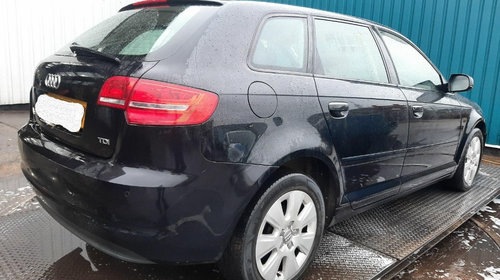 Centuri siguranta fata Audi A3 8P 2011 H