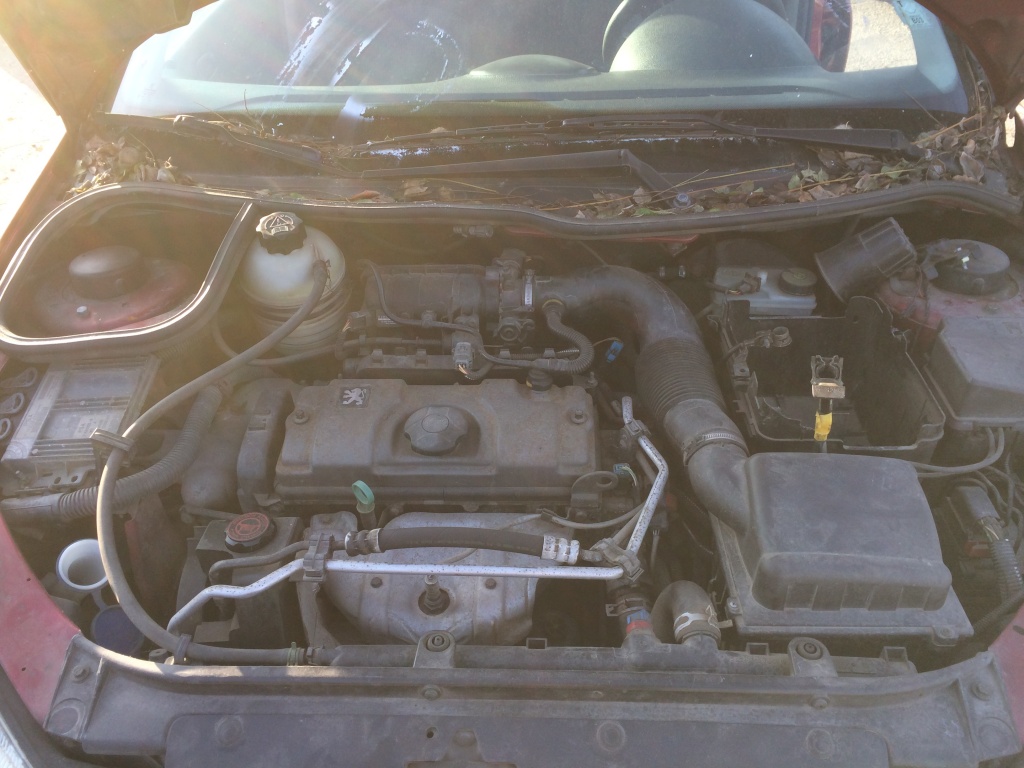 Centuri siguranta fata Peugeot 206 2000 