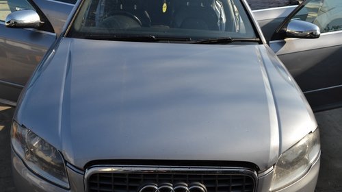 Centuri siguranta spate Audi A4 B7 2006 