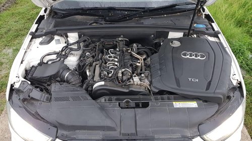 Centuri siguranta spate Audi A4 B8 2012 