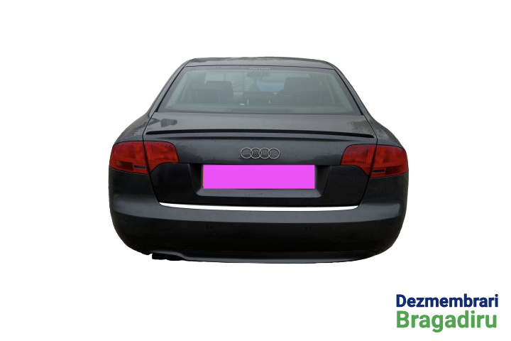 Cheder geam usa fata stanga Audi A4 B7 [