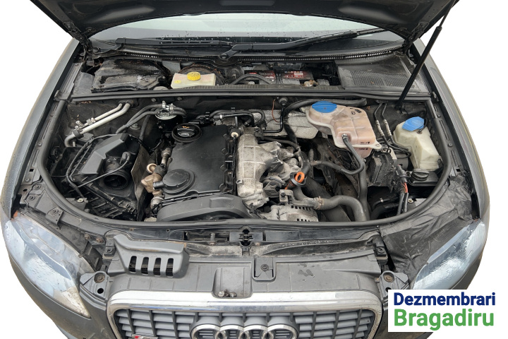 Cheder geam usa fata stanga Audi A4 B7 [