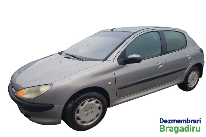 Cheder geam usa fata stanga Peugeot 206 