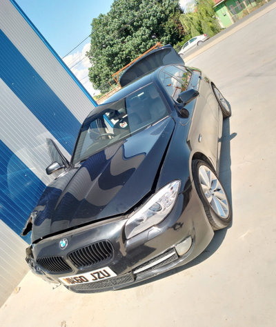 Cheder geam usa spate stanga BMW Seria 5 F10 [2009