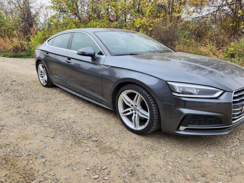 Cheder pe caroserie usa fata stanga 2019 Audi A5 2 (F5) [2016 - 2020] S - Line Liftback 5-usi 2.0 TDI S tronic (150 hp) 110KW 150CP 8W6 F5 volan stanga S-Line LZ7S