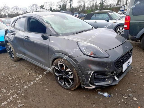 Cheder pe caroserie usa spate dreapta Ford Puma 2 [2019 - 2023] Crossover ST 1.0 EcoBoost MT (125 hp)