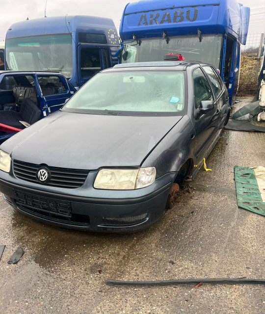 Cheder pe usa fata dreapta Volkswagen VW Polo 3 6N [facelift] [2000 - 2002] Hatchback 5-usi 1.4 TDi MT (75 hp)