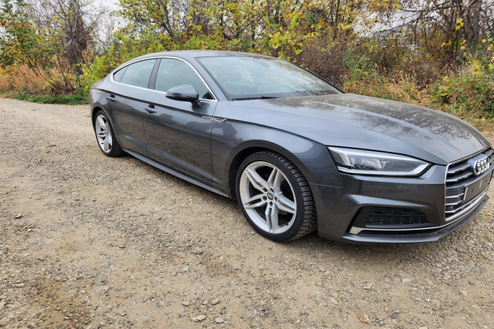 Cheder pe usa spate dreapta 2019 Audi A5 2 (F5) [2016 - 2020] S - Line Liftback 5-usi 2.0 TDI S tronic (150 hp) 110KW 150CP 8W6 F5 volan stanga S-Line LZ7S