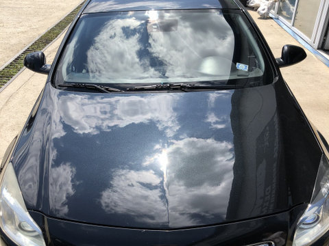 Cheder usa spate stanga Opel Insignia A [2008 - 2014] Sedan 4-usi