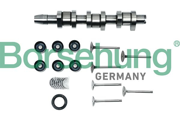 Chit de reparatie arbore intermediar # Skoda Roomster 2007 2008 2009 2010 # B17130 # BORSEHUNG