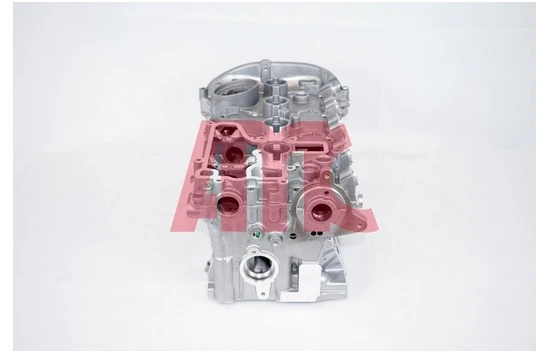 Chiulasa AMC VW MULTIVAN T5 (7HM, 7HN, 7HF, 7EF, 7EM, 7EN) 2011-2015 - 910708