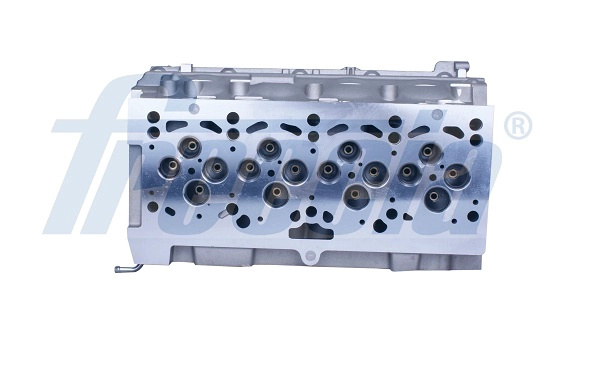Chiulasa FRECCIA CH17-1020 se potriveste la VW GOLF V (1K1) BKD 1968cc 140cp 103kW 2003 2004 2005 2006 2007 2008