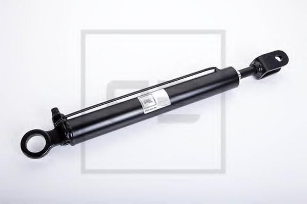 Cilindru basculare, cabina sofer MERCEDES-BENZ LK/LN2, MERCEDES-BENZ NG - PE Automotive 013.666-00A