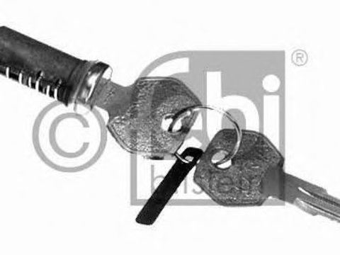 Cilindru inchidere 05813 FEBI BILSTEIN pentru Bmw Seria 5 Volvo 850