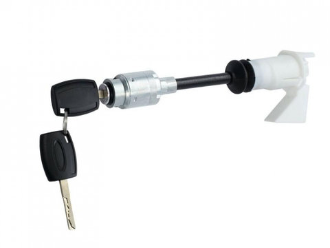 Cilindru inchidere deschidere broasca capota cu cheie varianta lunga 25 cm Ford C-Max (2007->) 4556337