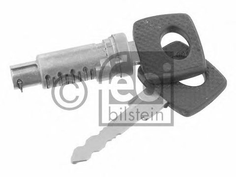 Cilindru inchidere MERCEDES ATEGO (1998 - 2004) Febi Bilstein 24976