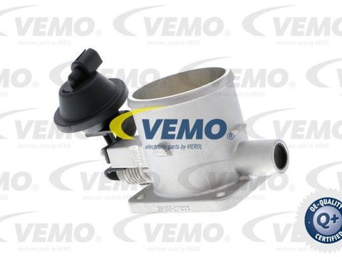 Clapeta acceleratie HYUNDAI TRAJET FO VEMO V53810009